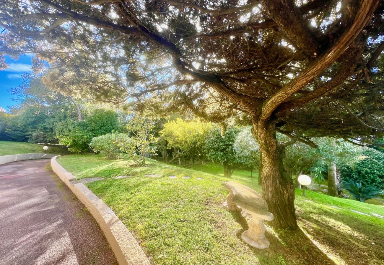 Apartment in Cannes - June apartment 2 bedrooms with pool